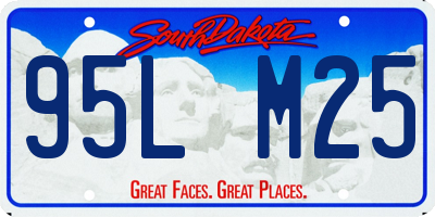 SD license plate 95LM25