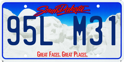 SD license plate 95LM31