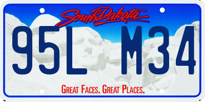 SD license plate 95LM34