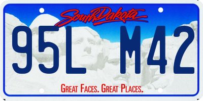 SD license plate 95LM42