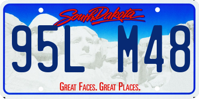 SD license plate 95LM48
