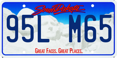 SD license plate 95LM65