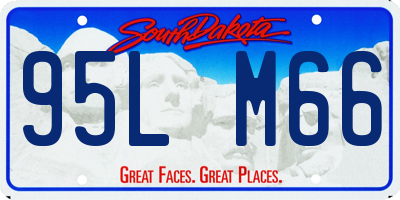 SD license plate 95LM66