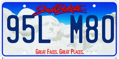 SD license plate 95LM80