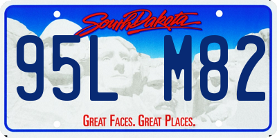 SD license plate 95LM82