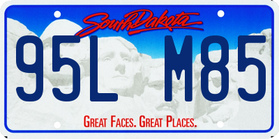 SD license plate 95LM85