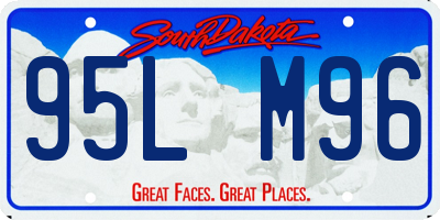SD license plate 95LM96