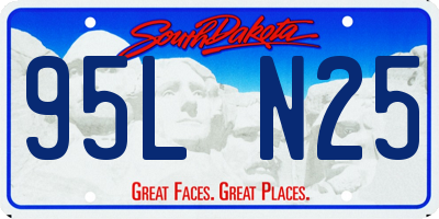 SD license plate 95LN25