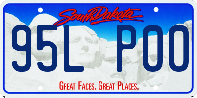 SD license plate 95LP00