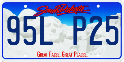 SD license plate 95LP25