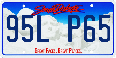 SD license plate 95LP65