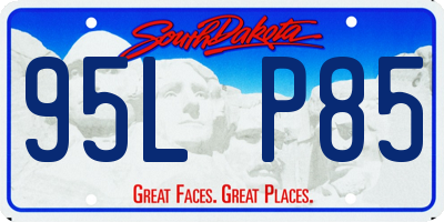 SD license plate 95LP85