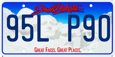SD license plate 95LP90