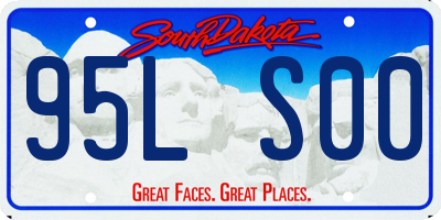 SD license plate 95LS00