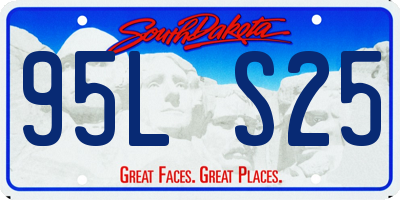 SD license plate 95LS25