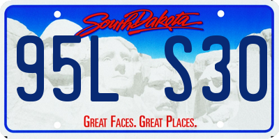 SD license plate 95LS30