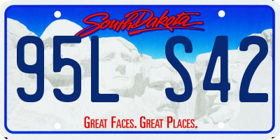 SD license plate 95LS42