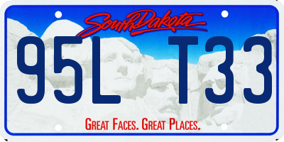 SD license plate 95LT33