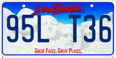 SD license plate 95LT36