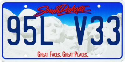 SD license plate 95LV33