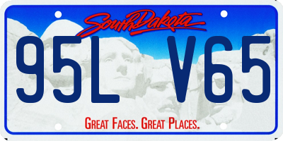 SD license plate 95LV65
