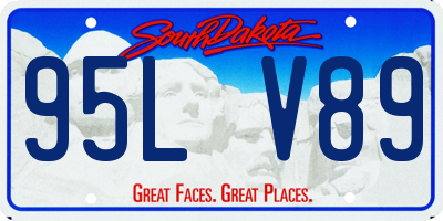 SD license plate 95LV89