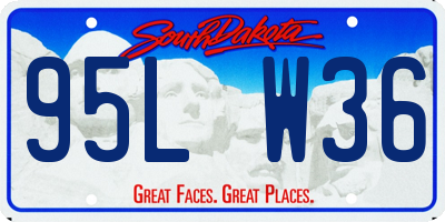 SD license plate 95LW36