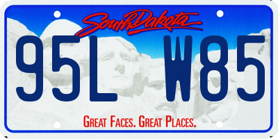 SD license plate 95LW85