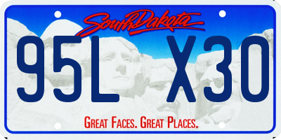SD license plate 95LX30