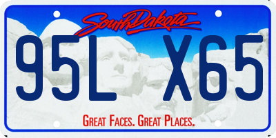 SD license plate 95LX65