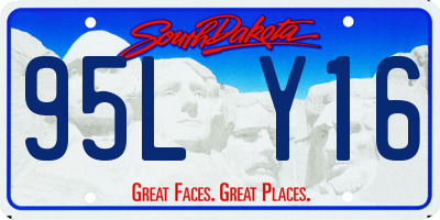 SD license plate 95LY16