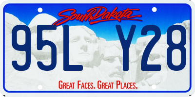 SD license plate 95LY28