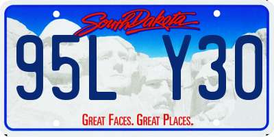SD license plate 95LY30