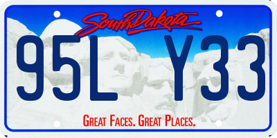 SD license plate 95LY33