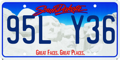 SD license plate 95LY36