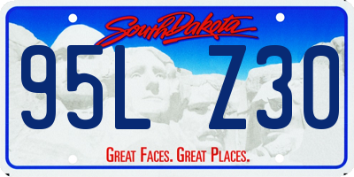 SD license plate 95LZ30