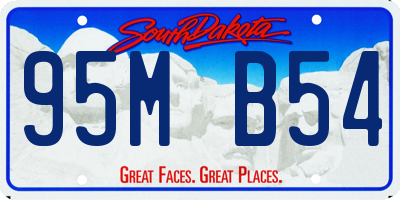 SD license plate 95MB54