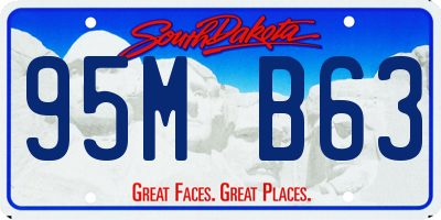 SD license plate 95MB63