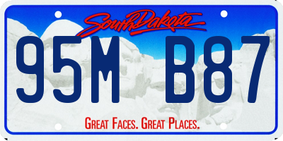 SD license plate 95MB87