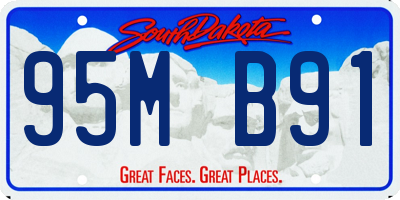 SD license plate 95MB91