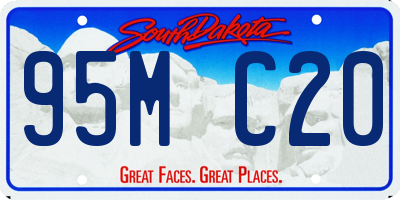 SD license plate 95MC20