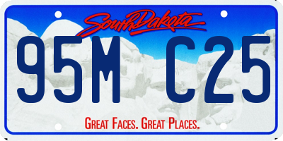 SD license plate 95MC25