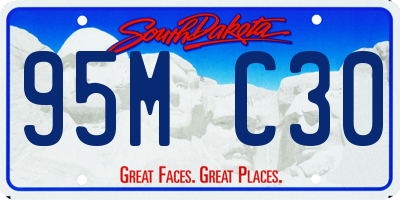 SD license plate 95MC30
