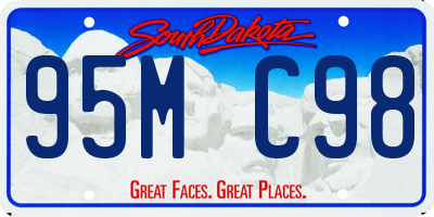 SD license plate 95MC98