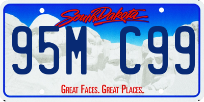 SD license plate 95MC99