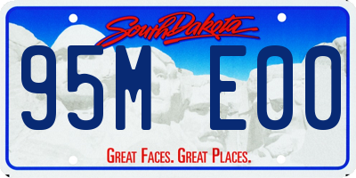 SD license plate 95ME00