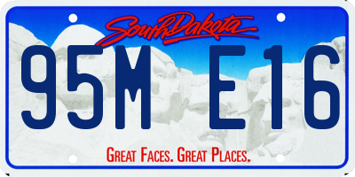 SD license plate 95ME16