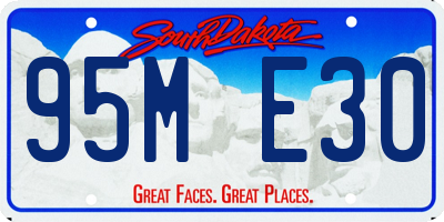 SD license plate 95ME30