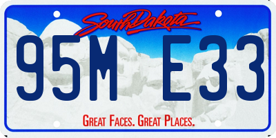 SD license plate 95ME33