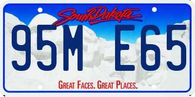 SD license plate 95ME65